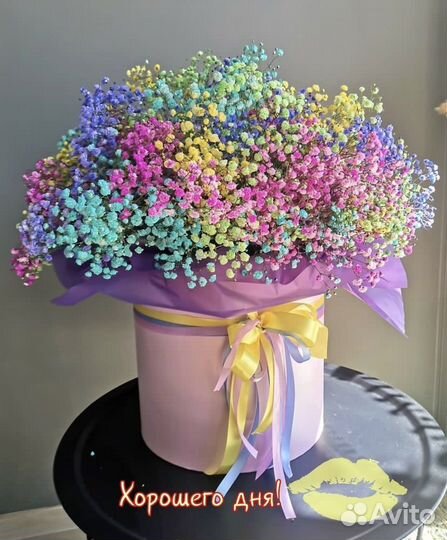 Радужная гипсофила