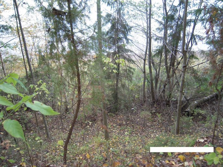 Участок 10 га (СНТ, ДНП)