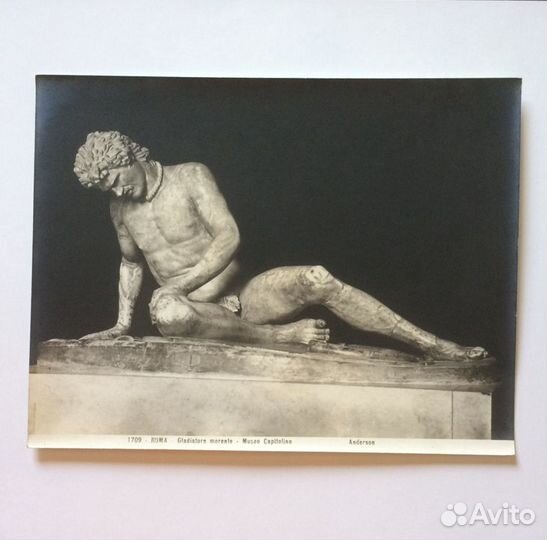 Фотографии Андерсон