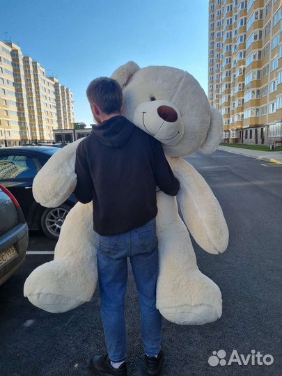 Большие мишки 70-230 см. Плюшевый мишка. Доставка