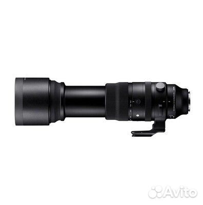 Sigma AF 150-600 /5.0-6.3 DG OS HSM Sports L-mount