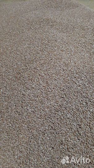 Ячмень, зерно, зерносмесь, овес, отходы, отруби