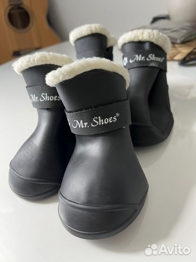 Сапожки для собак