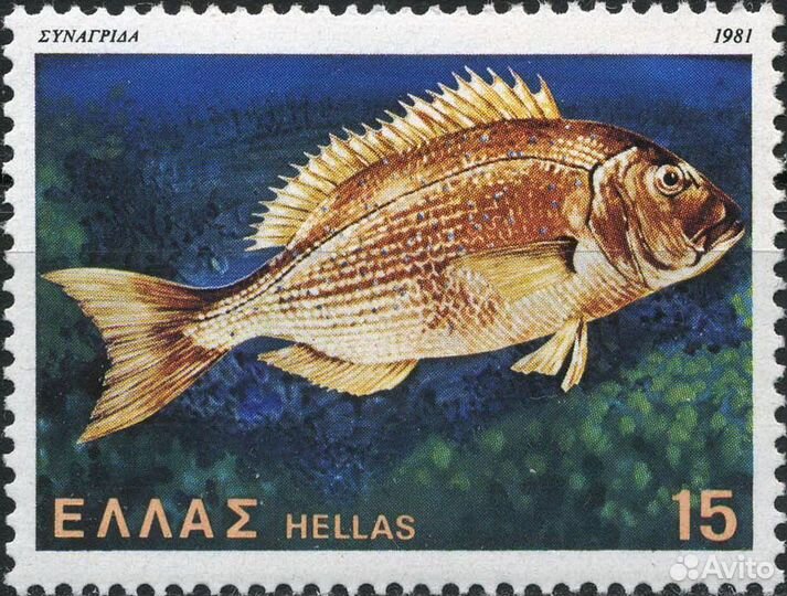 Марки Рыбы, моллюски и бабочки. Греция 1981 г