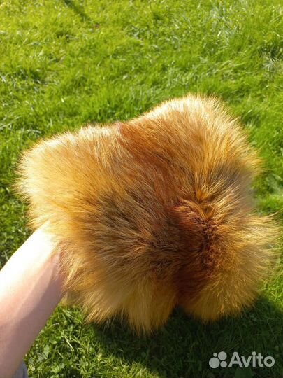 Лисья шкура