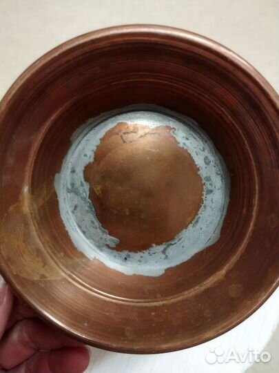 Зольник медный