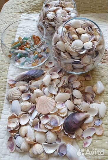 Морские ракушки. Крым, камни цветные натуральные