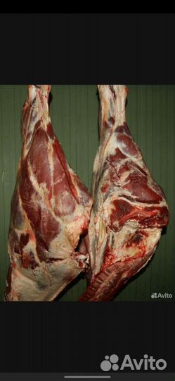 Мясо говядина домашняя