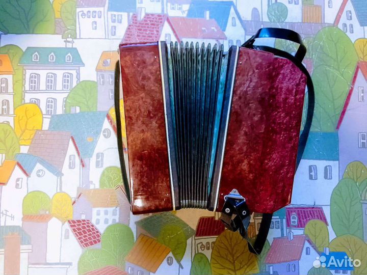 Баян малыш великолепный