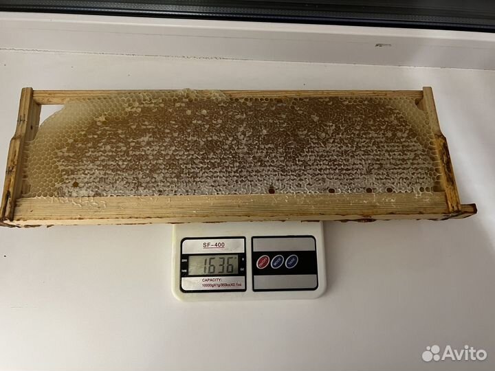 Мёд в сотах в раме свежий
