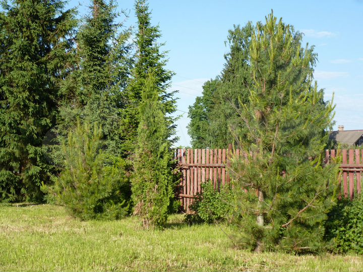 Участок 15 сот. (ИЖС)