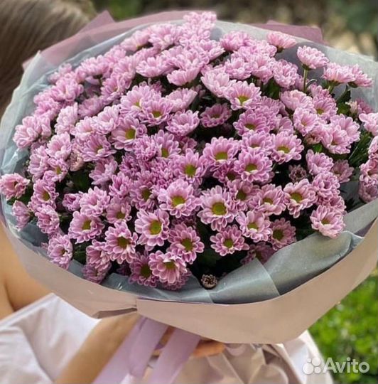 Цветы хризантемы и букеты с доставкой живые