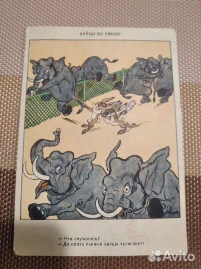 Открытка СССР 1956 год Зайцы во хмелю Баженов