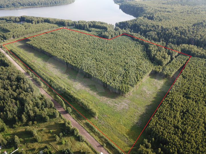 Участок 25 га (ИЖС)