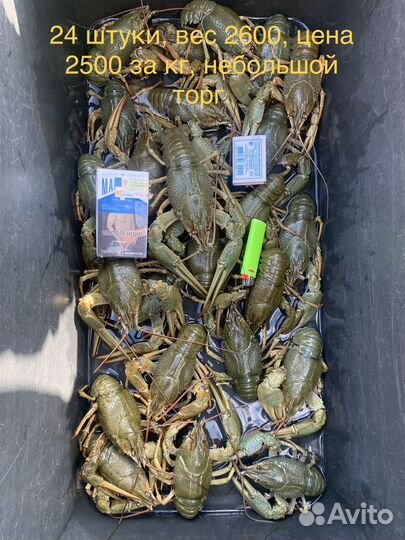Живые раки