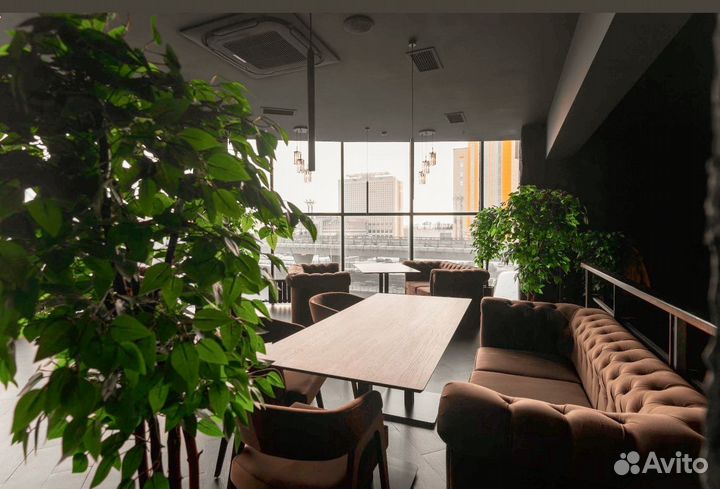 Диваны Честер для лаунж бара 113