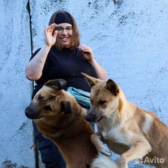 Зоопсихолог, кинолог, специалист по поведению