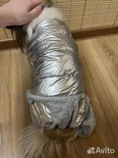 Комбинезон для собаки