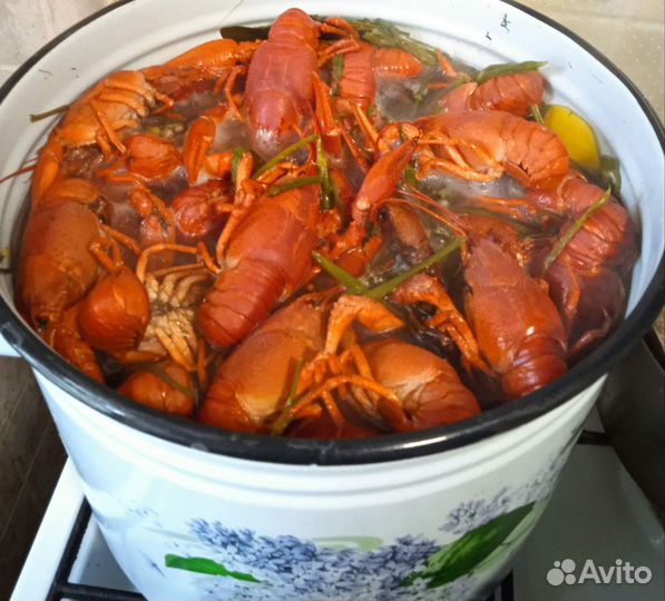 Раки вареные, Башкирские