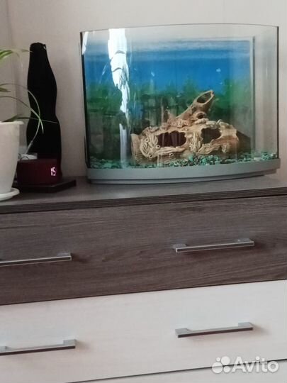 Аквариум 30 литров