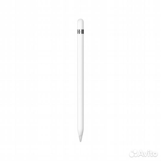 Apple Pencil (1st generation)