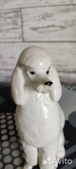 Фарфоровая статуэтка СССР Собака