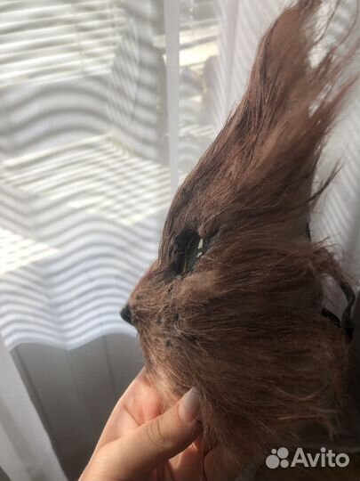 Маска для квадробики кот