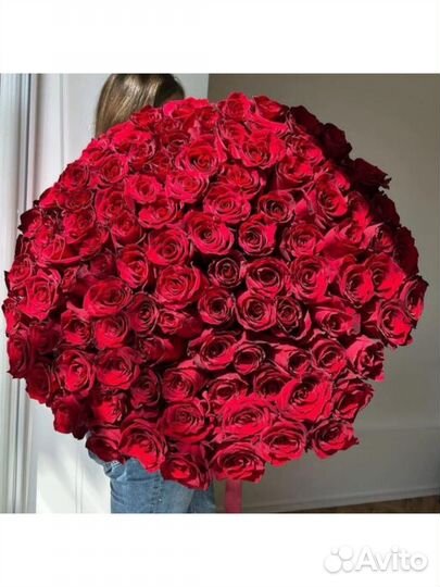 Розы букет 101,51, 25 шт. Доставка круглосуточно