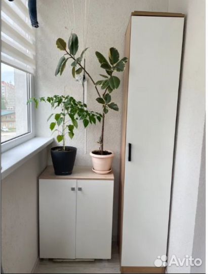 Шкаф-пенал Вотан