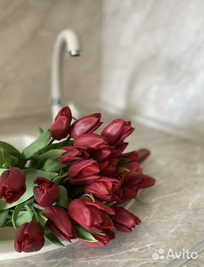 Тюльпаны к 8 марта