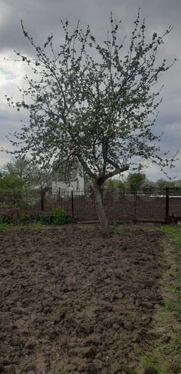 Дача 20 м² на участке 10 сот.