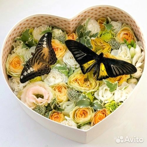 Живые бабочки с цветами или фермы бабочек