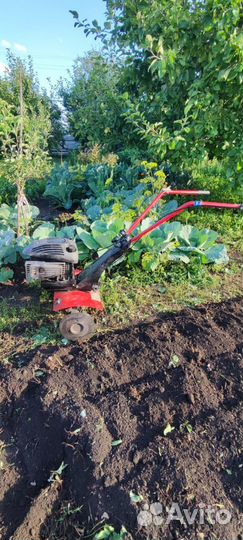 Культиватор