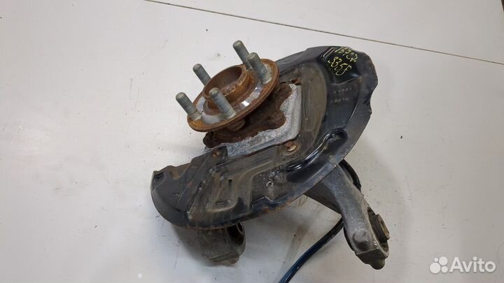 Ступица (кулак, цапфа) Ford Edge, 2019