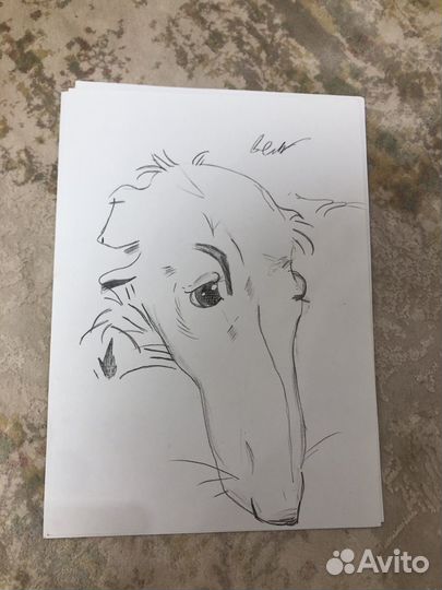 Криотивные картины на заказ