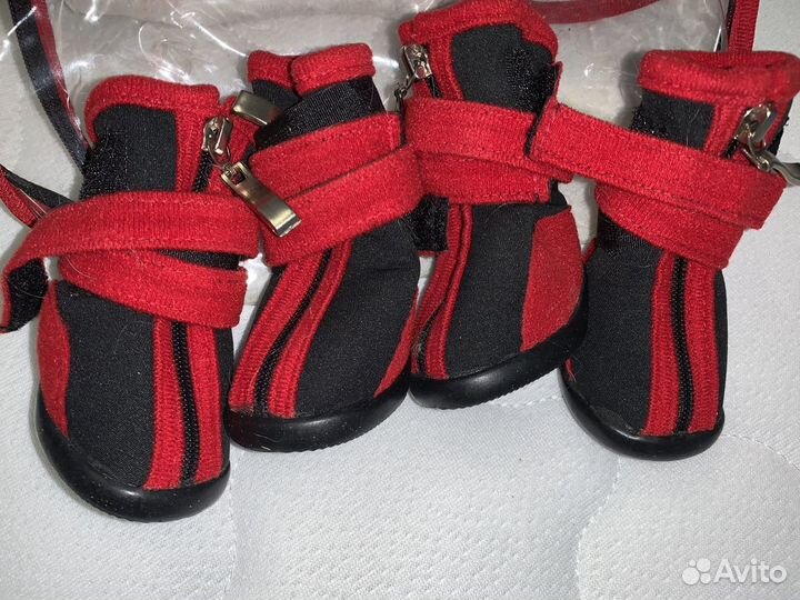 Ботинки для собак