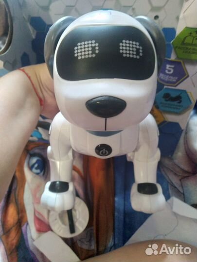 Собака робот дружок