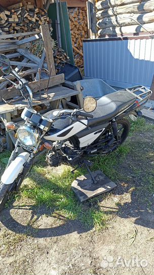 Альфа gs