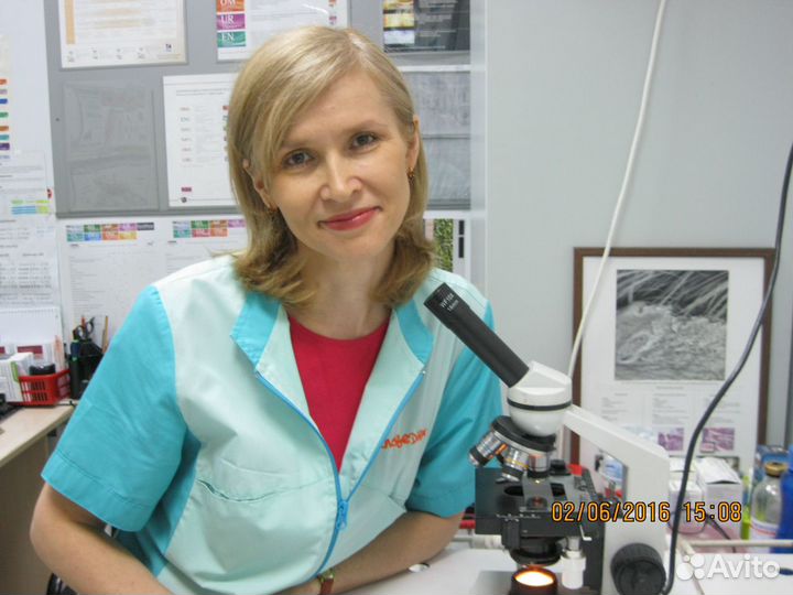 Кастрация и стрижки кошек, ветеринарный врач