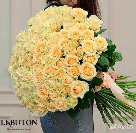 Розы Букет Роз Цветы в Иркутске