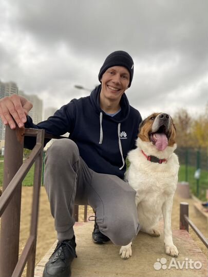 Особенная собака пропадает в приюте