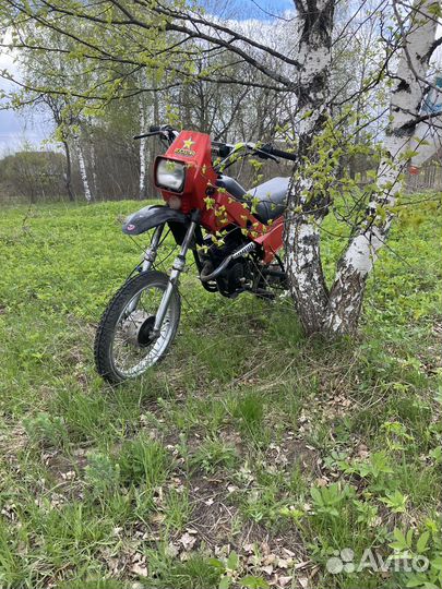 Зид 50 пилот