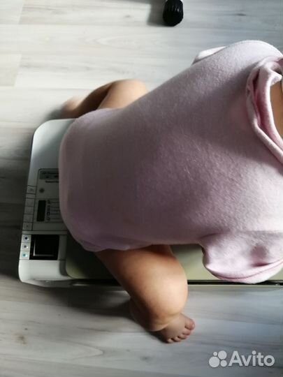 Принтер, сканер, копир HP Photosmart C4283