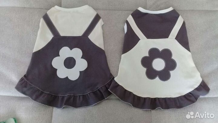 Одежда для собак и кошек