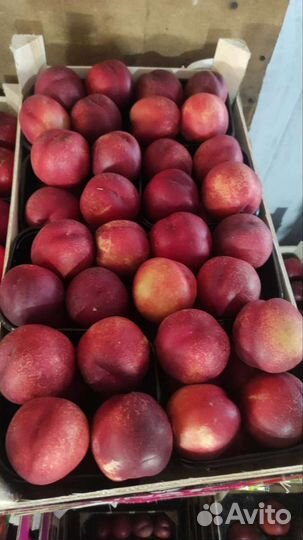 Фрукты абрикос, нектарин, персик, слива, апельсин