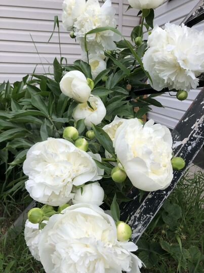 Дом 120 м² на участке 6 сот.