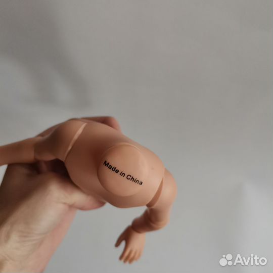 Корейское шарнирное тело для Паола Рейна