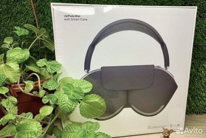 Airpods Max (Premium)