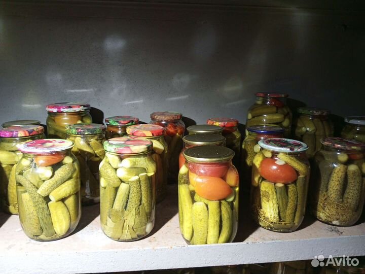 Соленья домашние