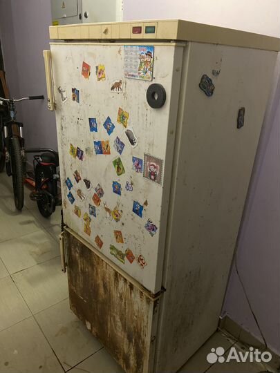 Холодильник бесплатно